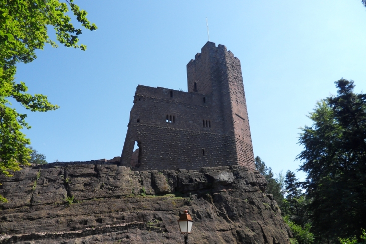 Le donjon du château - Wangenbourg-Engenthal