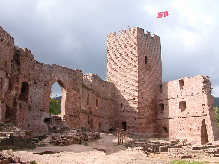 Le château de Wangenbourg - Wangenbourg-Engenthal