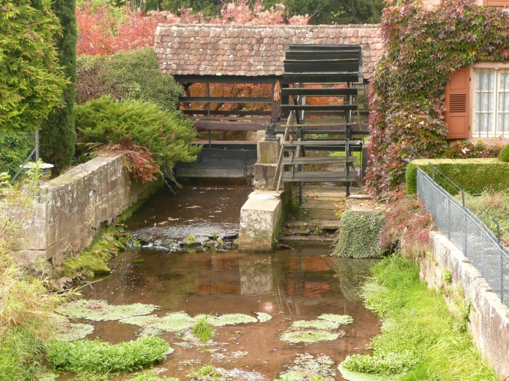 Roue à aube sur la Mossig - Ancien moulin à huile rue de la gare - Wasselonne