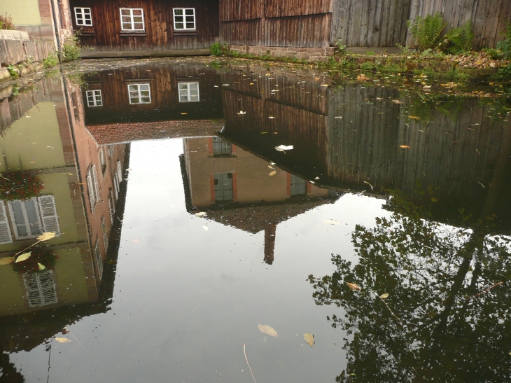 Reflet sur la Mossig - Wasselonne