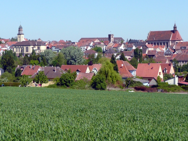 Vue d'ensemble depuis la route de Westhoffen - Wasselonne