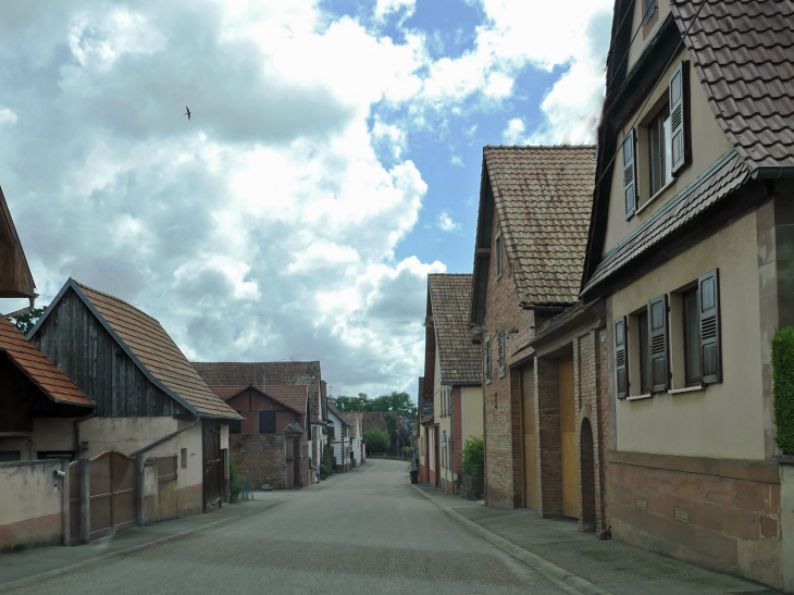 La rue principale - Wickersheim-Wilshausen