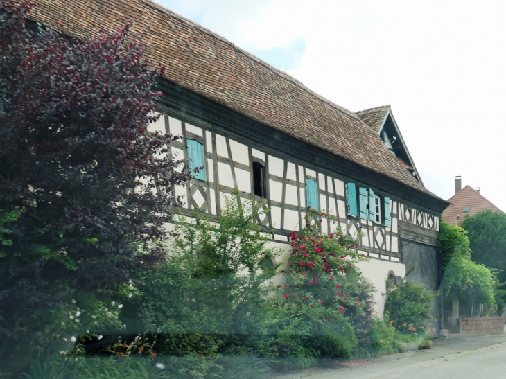 Grange de ferme dans la rue principale - Wickersheim-Wilshausen