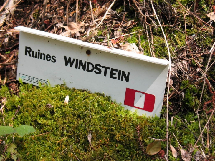 Ruine - Windstein