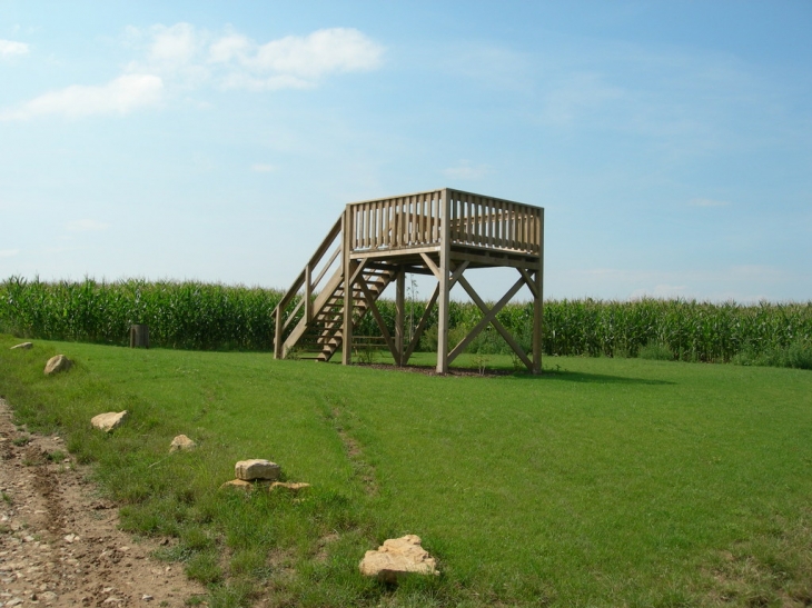 Terrasse - Wintzenheim-Kochersberg