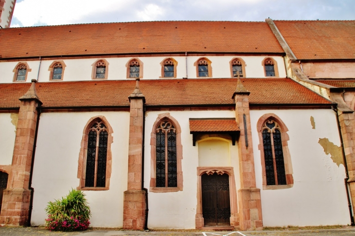 église Saint-Martin - Ammerschwihr