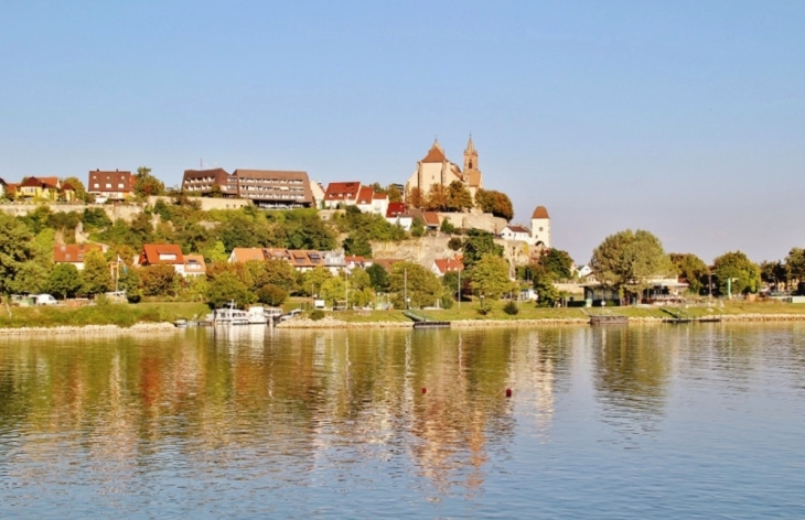 Le Rhin - Biesheim