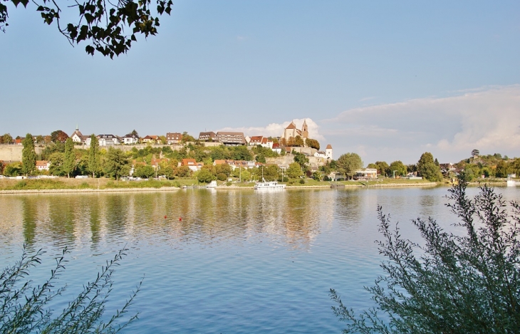 Le Rhin - Biesheim