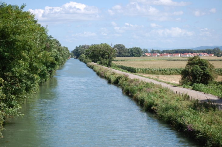 BISCHWIHR VUE DU CANAL