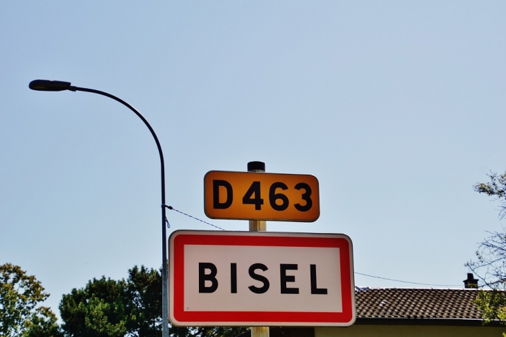  - Bisel