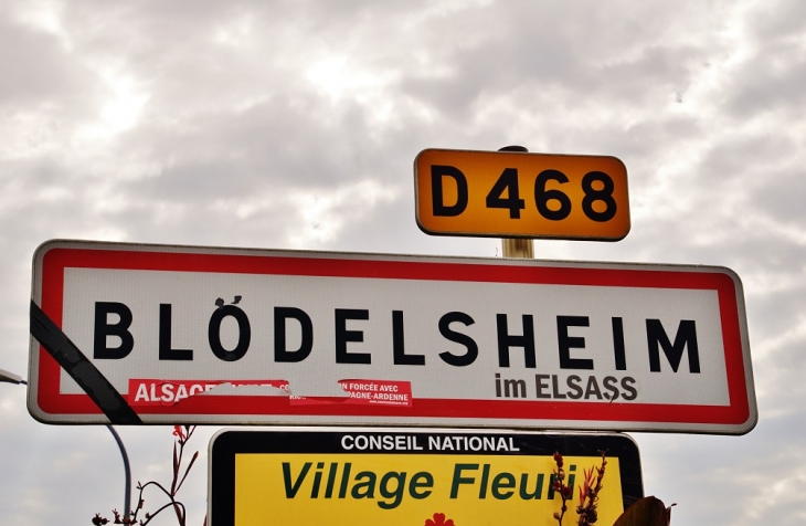  - Blodelsheim