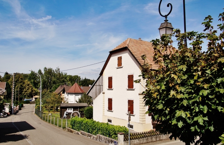 Le Village - Brinckheim