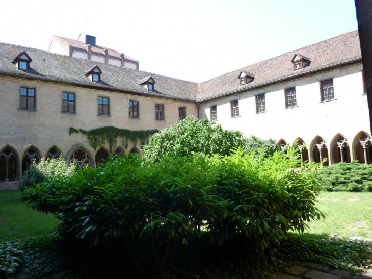 Jardin du cloitre du musée - Colmar