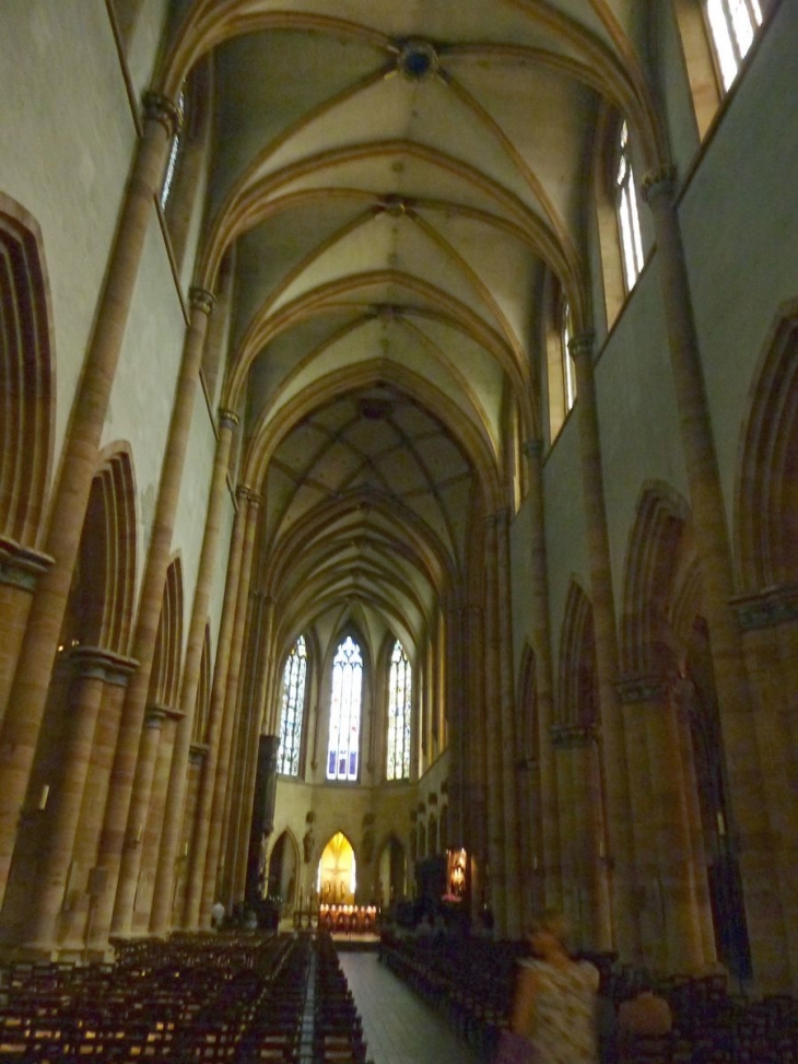 Collégiale St Martin - la nef - Colmar