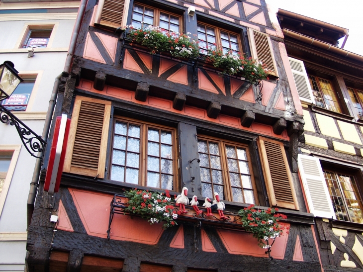  - Colmar