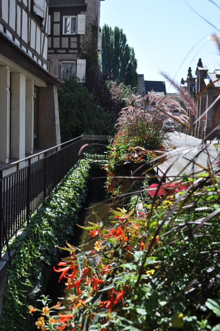 La rue des Tanneurs - Colmar