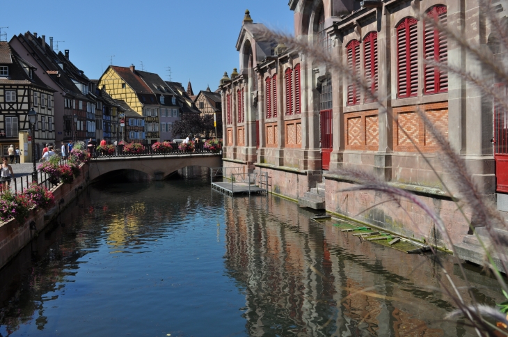 Le quai de la Poissonnerie - Colmar