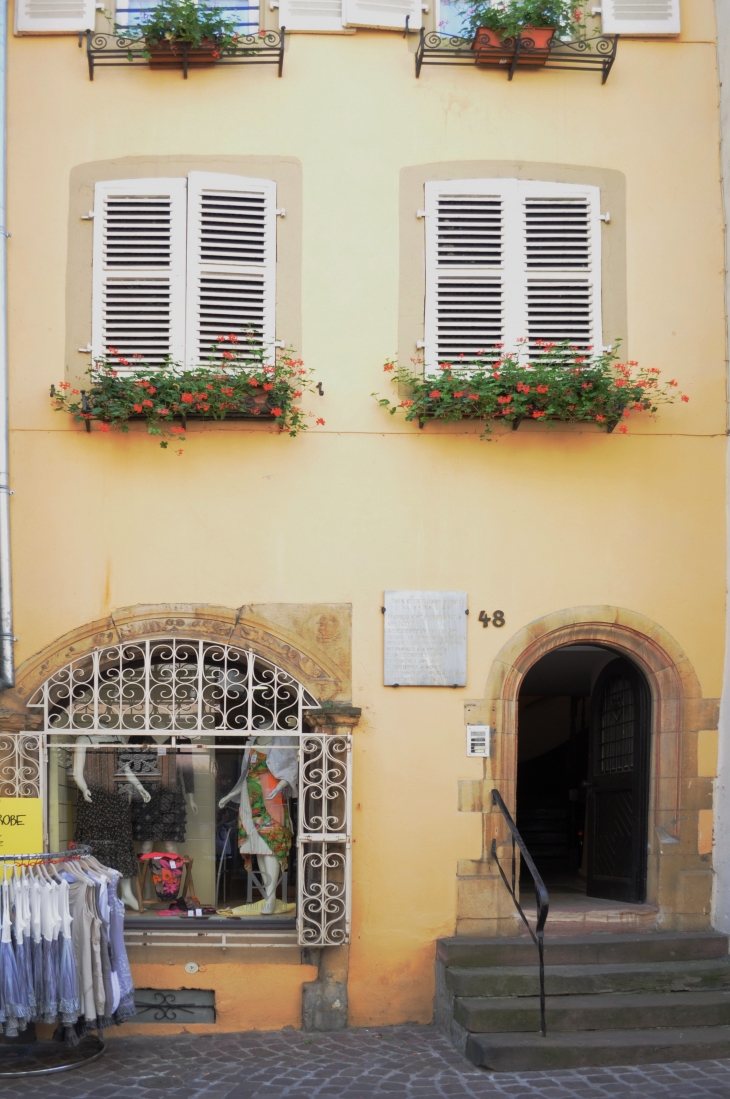 Maison de Marie Bigot de Morogues - Colmar