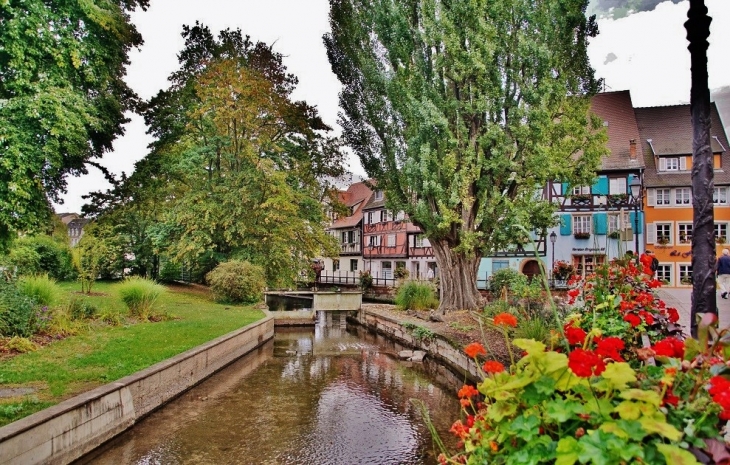 La Ville ( Petite Venise ) - Colmar