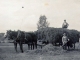 L'agriculture d'antan avec les chevaux