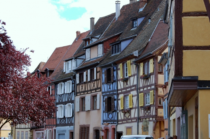 Superbe semaine en Alsace octobre 2010  - Eguisheim