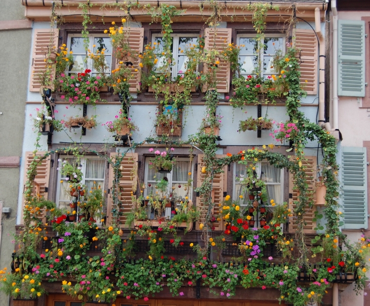 Superbe semaine en Alsace octobre 2010  - Eguisheim