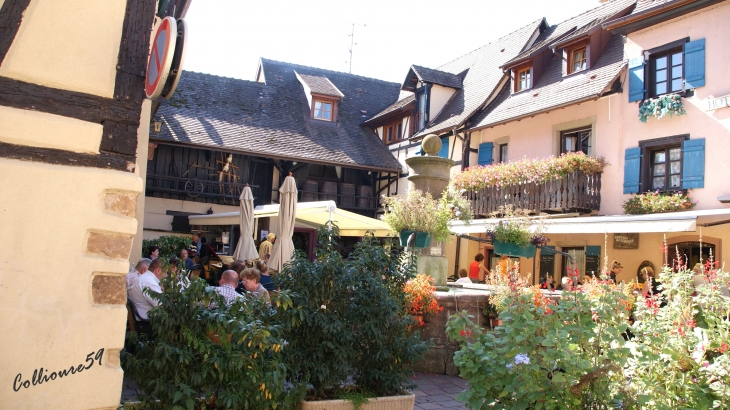  - Eguisheim