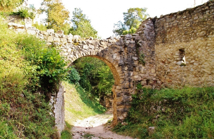 Ruines du Château de Ferrette