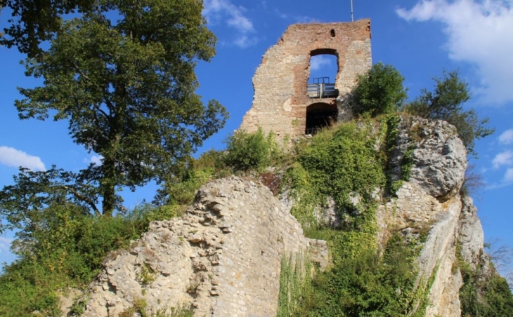 Ruines du Château de Ferrette