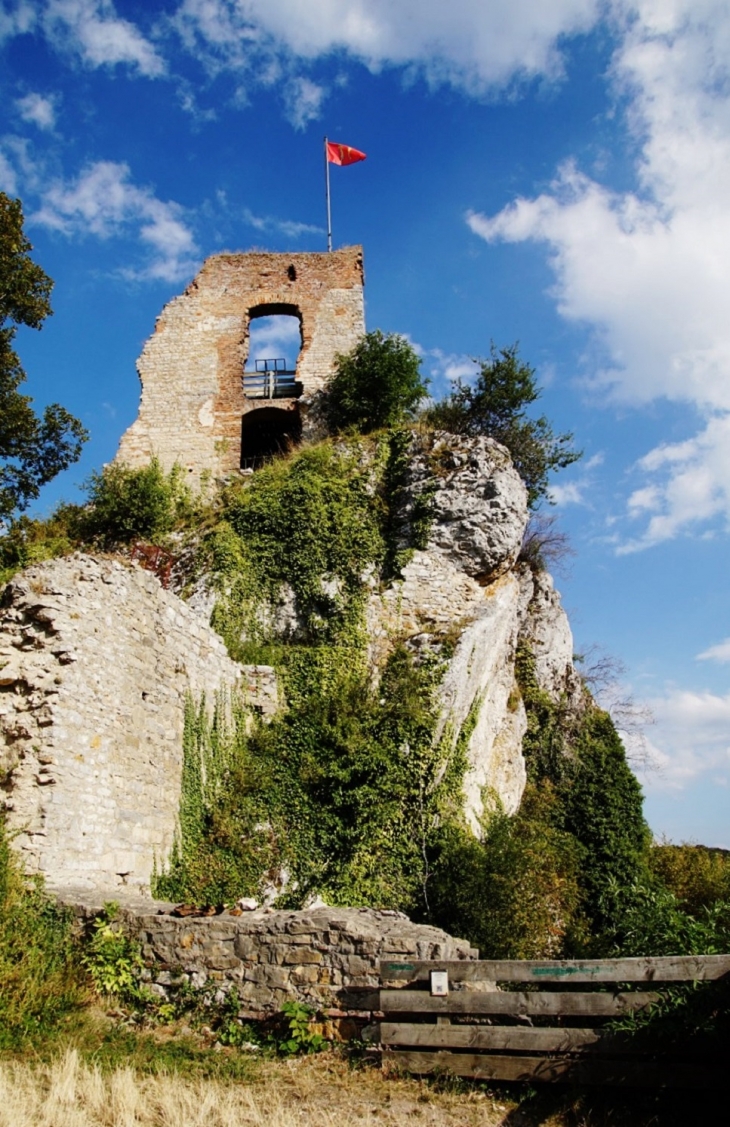 Ruines du Château de Ferrette