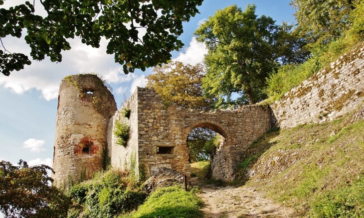 Ruines du Château de Ferrette