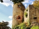 Photo précédente de Ferrette Ruines du Château de Ferrette