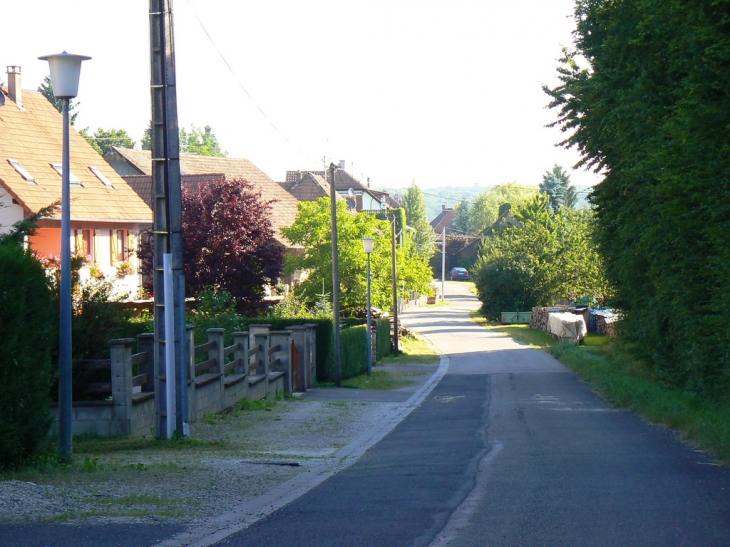 Rue Notre-Dame - Friesen