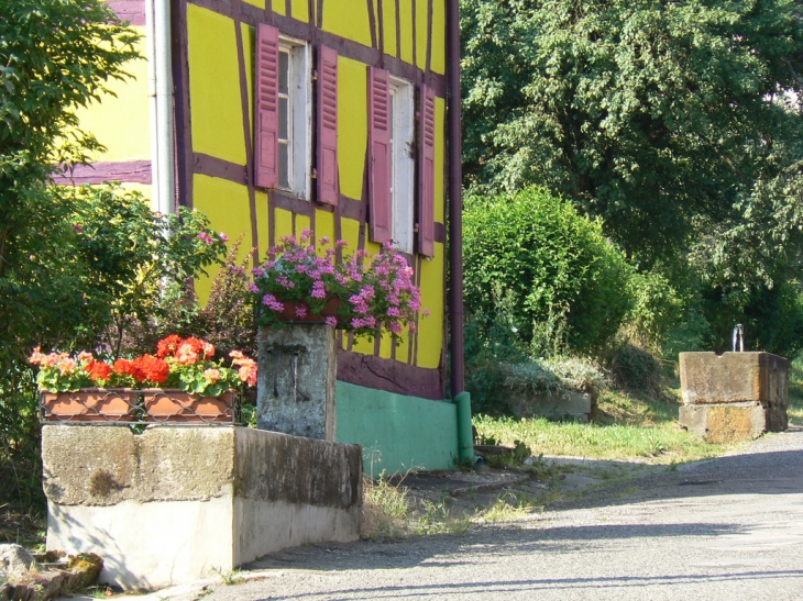 Deux des nombreuses fontaines dans la commune - Friesen