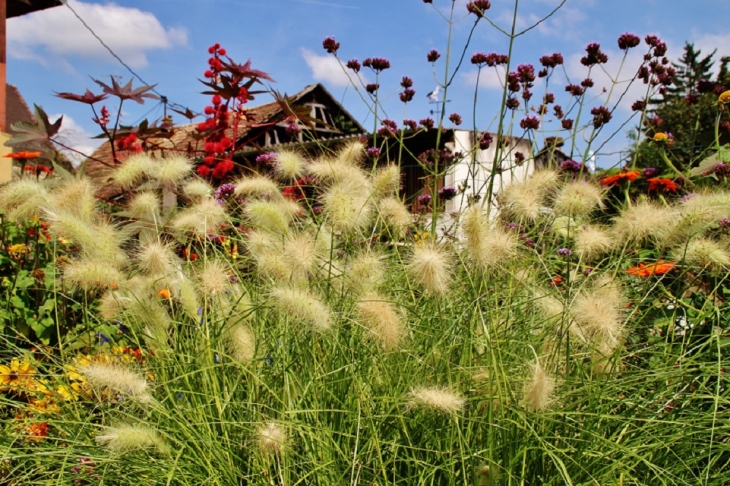 Fleurs - Grentzingen