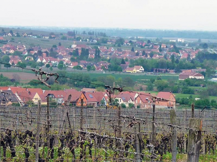 Village de la route des vins - Hattstatt