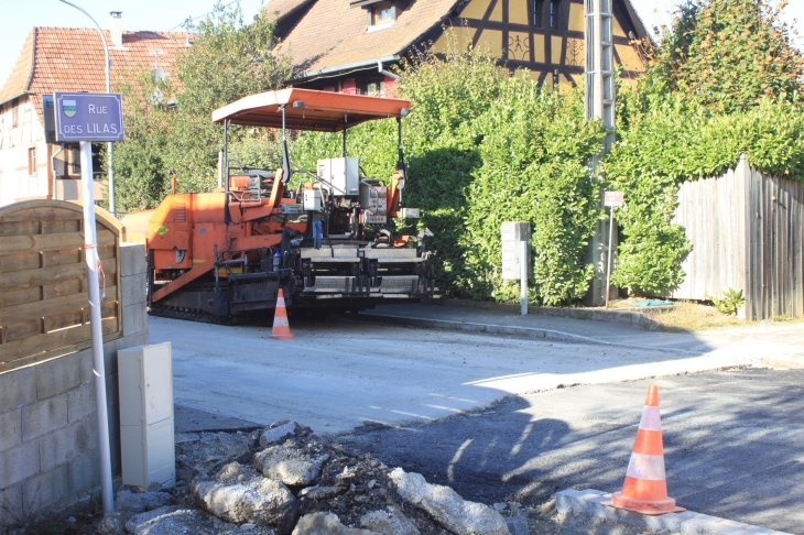 Asphalte jusque rue des Lilas - Hecken