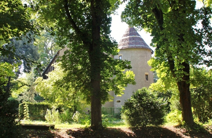 Château de Heidwiller