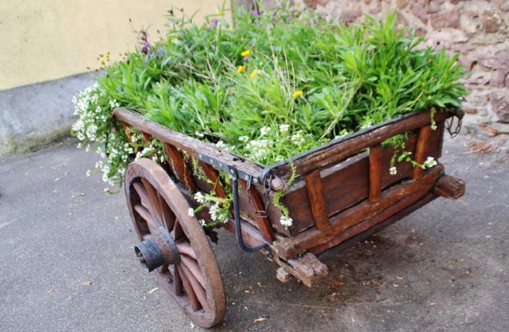 Déco - Herrlisheim-près-Colmar