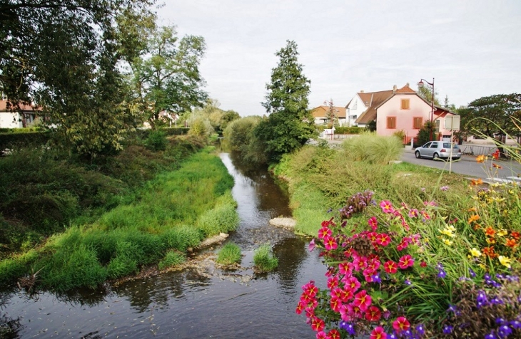 La Lauch - Herrlisheim-près-Colmar