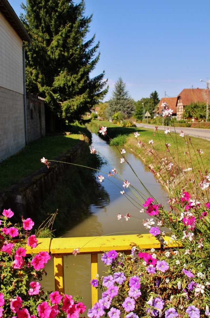 La Largue - Hindlingen