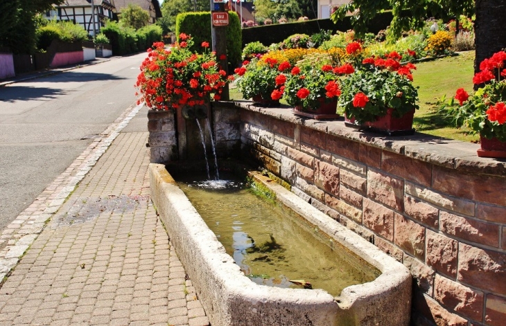 Abreuvoir - Hindlingen