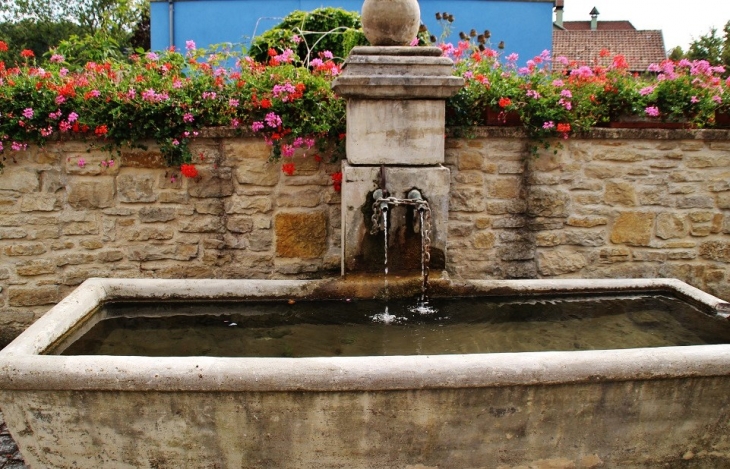 Fontaine - Hirsingue