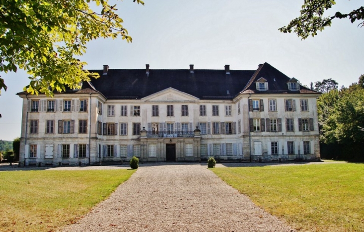 Château de Reinach - Hirtzbach