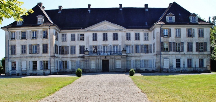 Château de Reinach - Hirtzbach