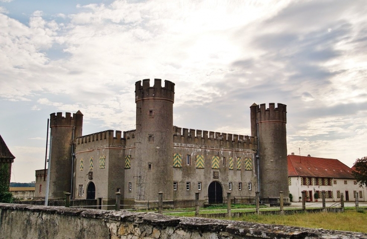 Château Burrus - Hombourg