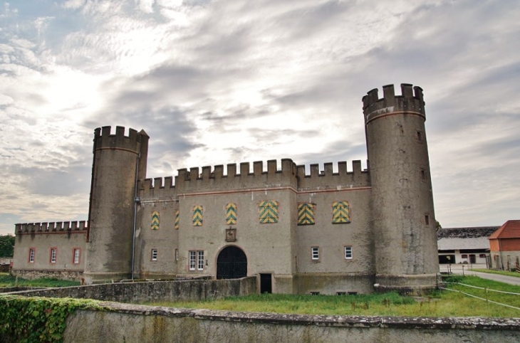 Château Burrus - Hombourg