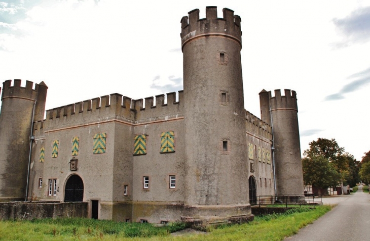 Château Burrus - Hombourg