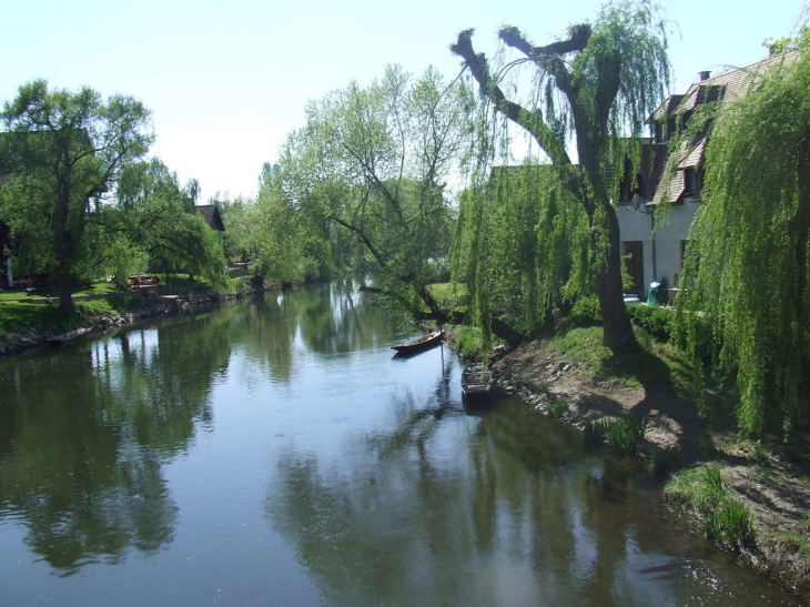 L'ill, rivière qui traverse le village, village connu par ses barques de pécheurs - Illhaeusern