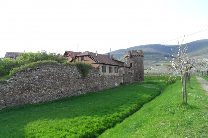 Remparts de Kientzheim